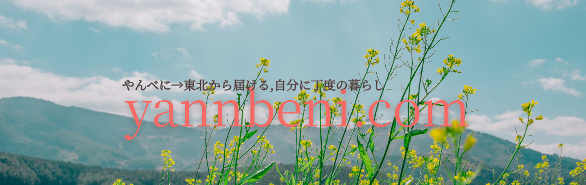 yannbeni.com